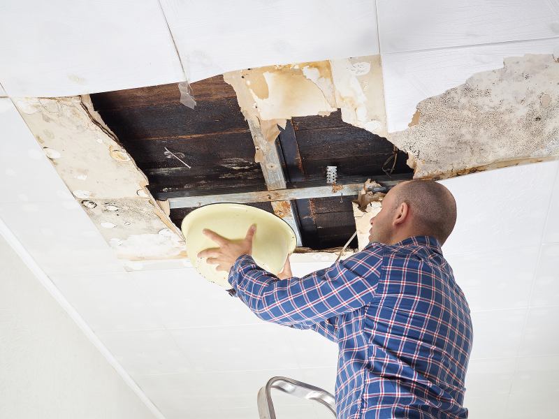 Understanding Ceiling Water Damage