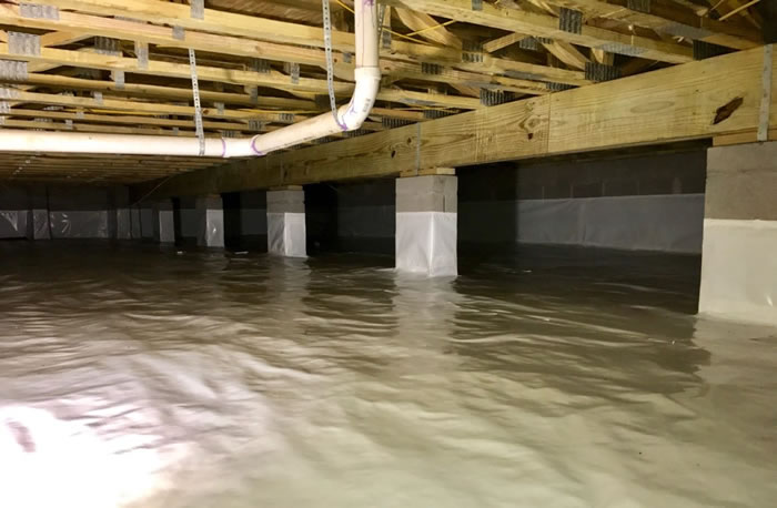 Signs of a Harmful Crawl Space