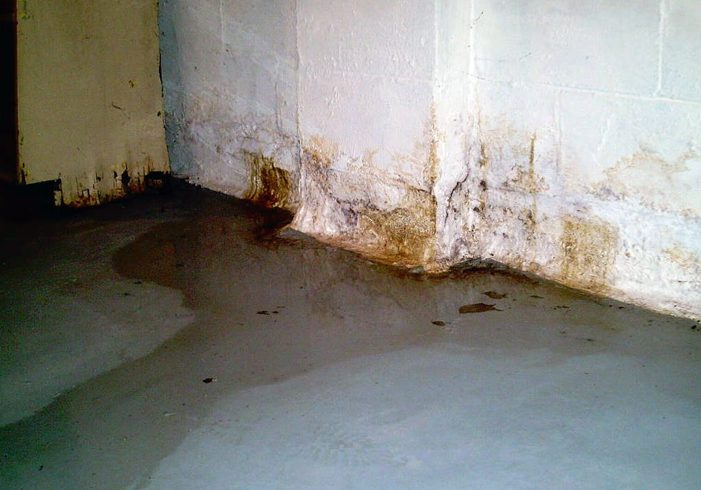 How to Clean a Flooded Basement