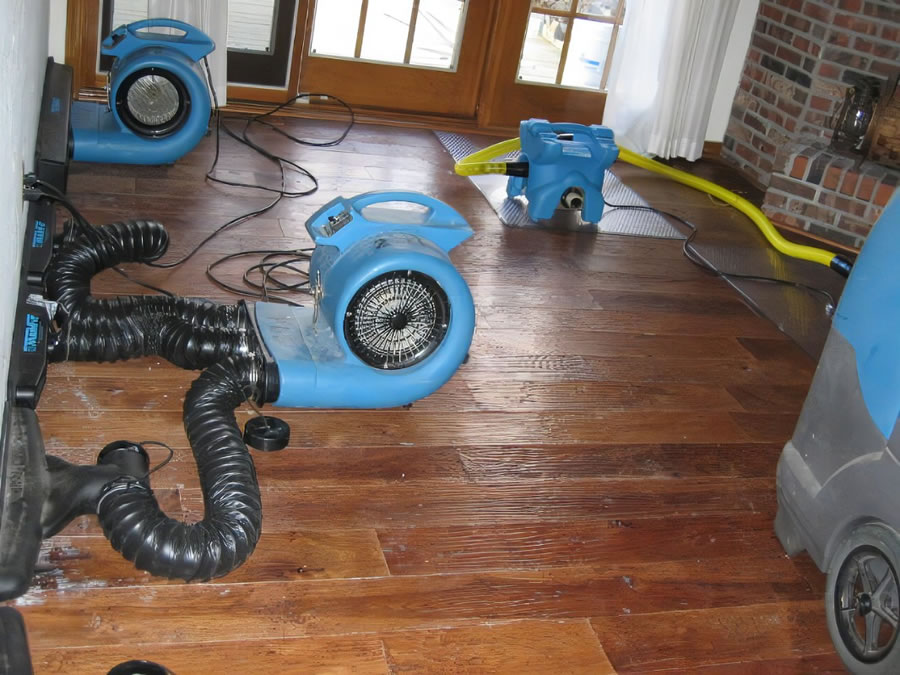 Should I Replace My Water-Damaged Subfloor?