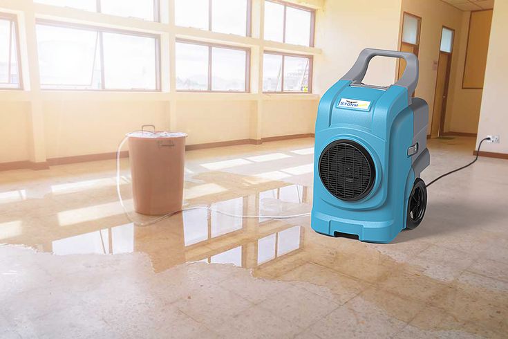 What to Look for in a Reputable Water Damage Repair Company