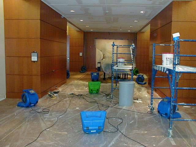 Top Causes of Commercial Building Water Damage