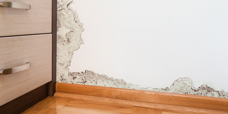 How to Find Water Leaks Behind Walls
