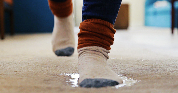 Effects of Water Damage on Carpets