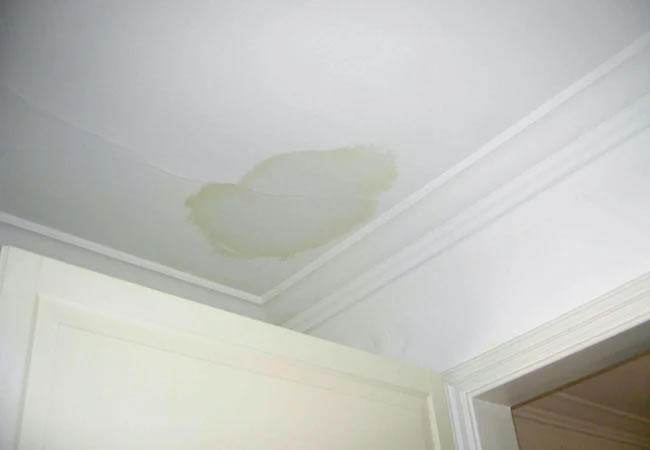 How to Tell if Water Damage Is Old or New?