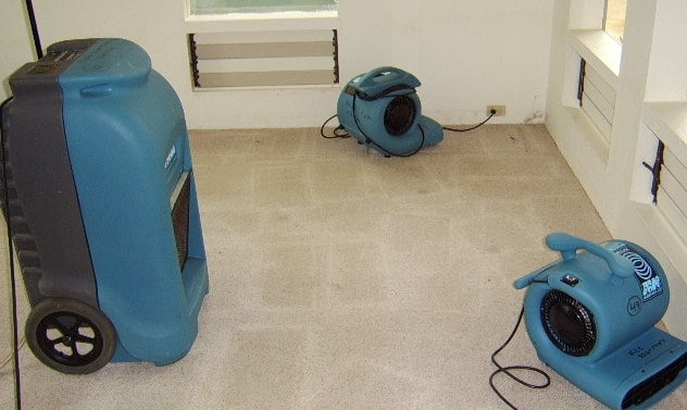 Dealing With Water Damage: Dos and Don’ts