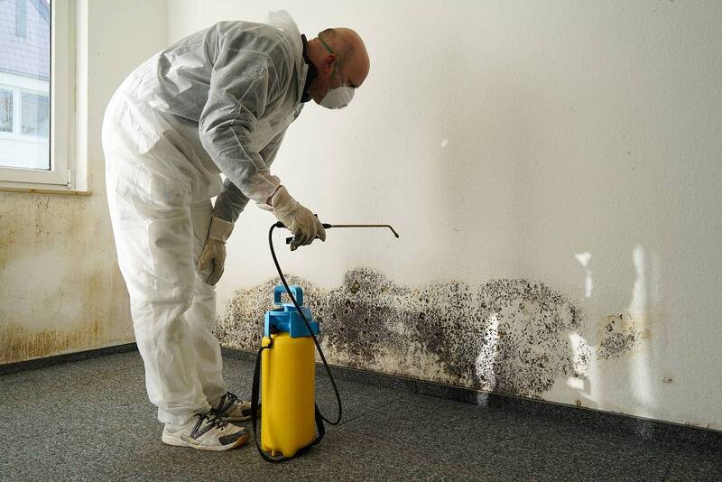 Factors Affecting Mold Remediation Costs