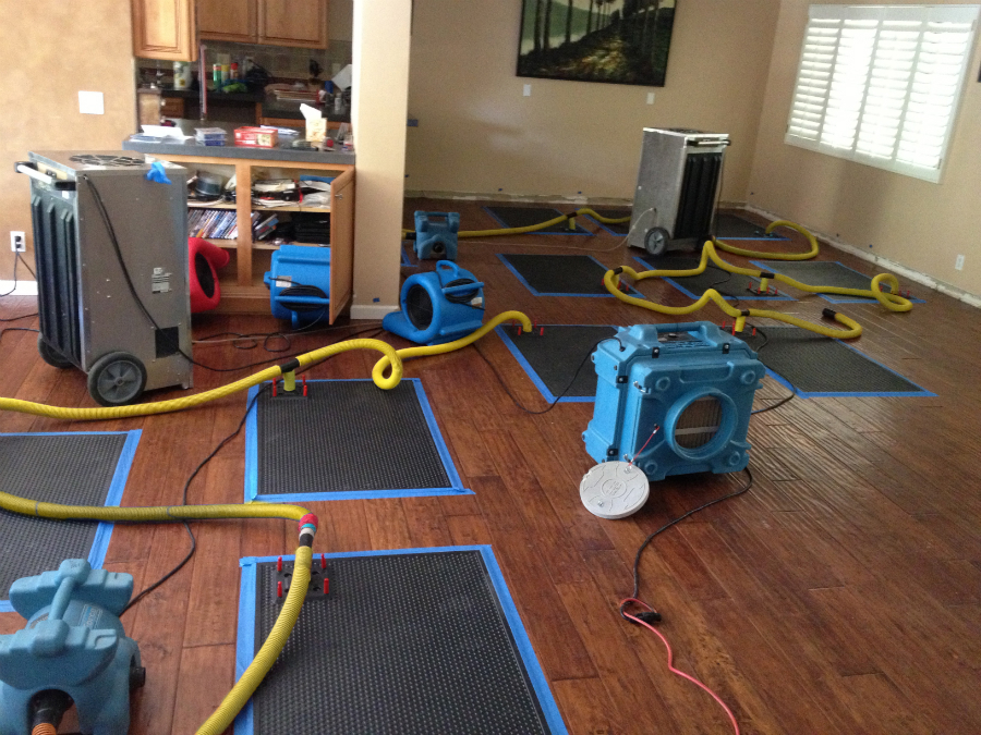 How to Dry Hardwood Floors After Water Damage