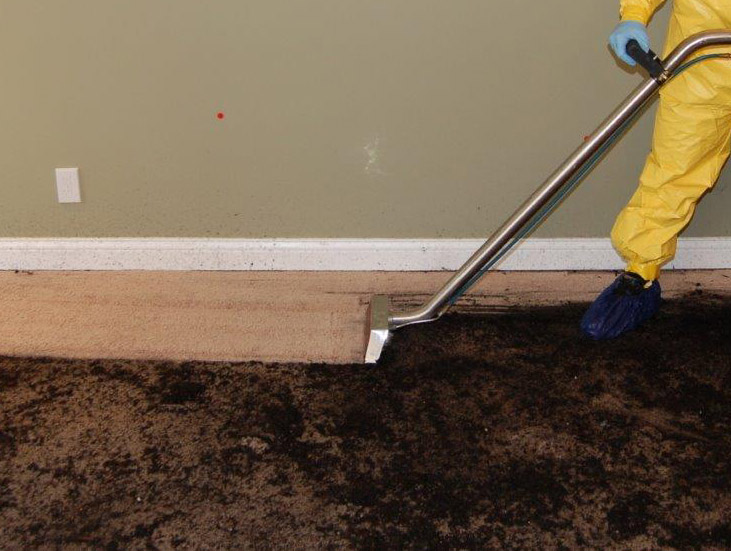 Sewage Damage Repair